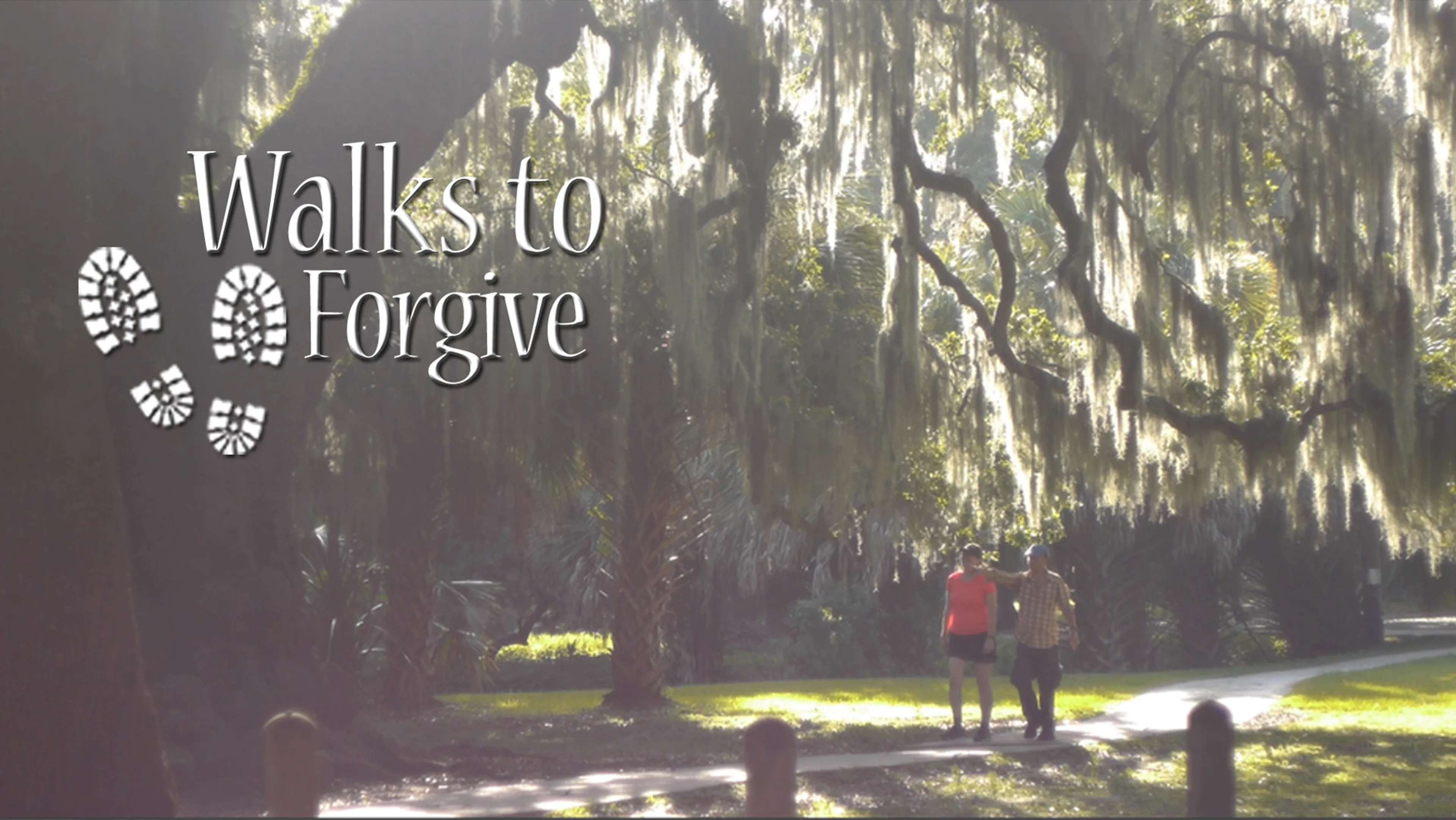 Walks to Forgive poster